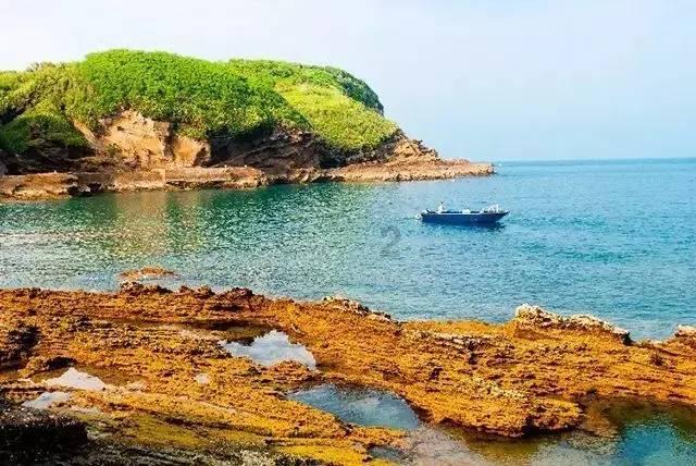 从溧水向莓好出发!金色庄园·2024南京溧水半程马拉松新闻发布会暨招商推介会顺利召开