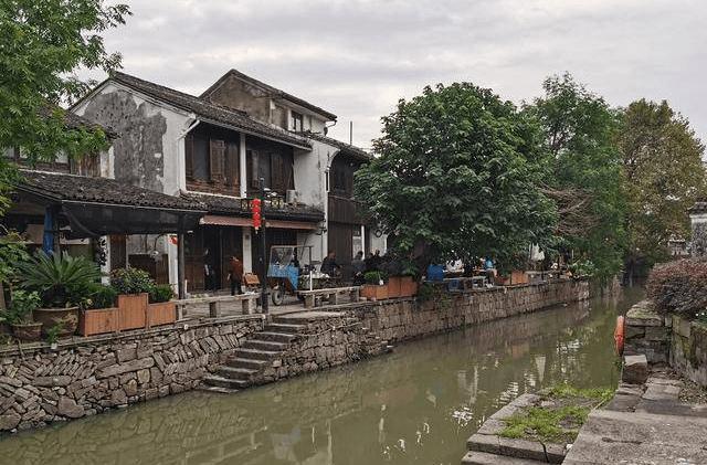 僵尸跳跳跳